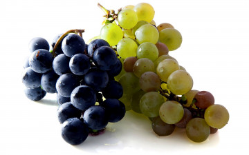 Картинка еда виноград синий зеленый