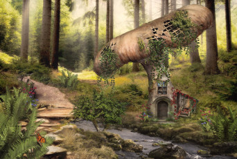 Картинка фэнтези фотоарт гриб лес