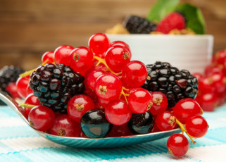 Картинка еда фрукты +ягоды ягоды fresh berries ежевика смородина