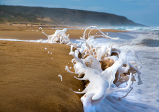 Картинка природа макро песок пляж берег пена брызги волны море
