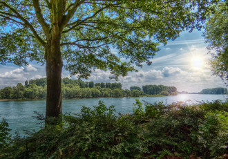 Картинка природа реки озера лес река дерево кустарник солнце лучи лето