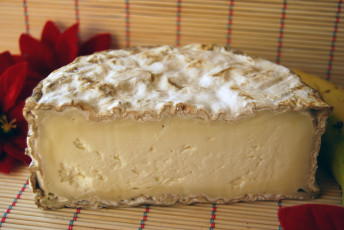 Картинка bauma+pasta+lactica еда сырные+изделия сыр