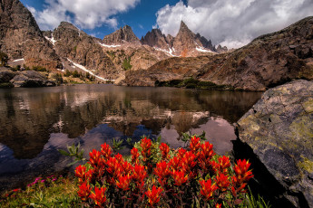 Картинка природа реки озера цветы minaret озеро горы июль лето сьерра-невада горная система калифорния штат сша