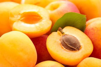 Картинка еда персики +сливы +абрикосы лето макро абрикос фрукты