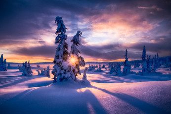 Картинка природа зима лес рассвет снег