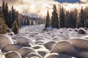 Картинка природа зима сугробы лес витоша солнце снег горный массив болгария