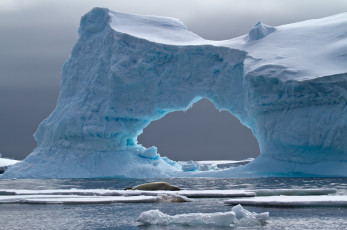 обоя природа, айсберги и ледники, antarctica, iceberg, petermann, island, айзберг, лёд, crabeater, seal