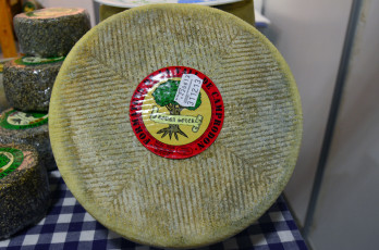 Картинка roura+soler+ovella еда сырные+изделия сыр