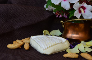 Картинка scimudin еда сырные+изделия сыр