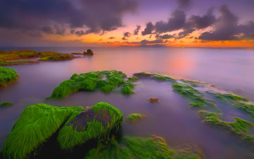 Картинка природа побережье небо облака закат море камни водоросли