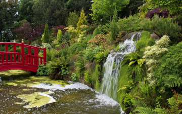 Картинка великобритания+mount+pleasant+gardens природа парк великобритания gardens река мостик водопад кусты