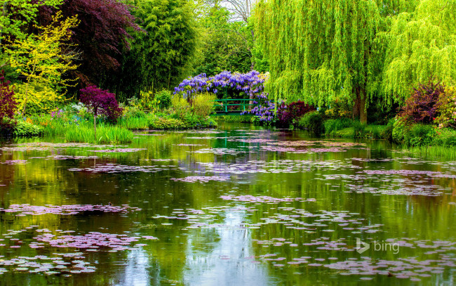 Обои картинки фото природа, парк, сад, моне, живерни, нормандия, франция, весна, водоем, мост