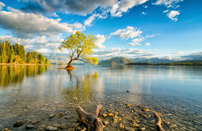 Обои картинки фото природа, реки, озера, новая, зеландия, остров, южный, озеро, уанака, дерево, небо, облака