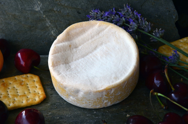 Обои картинки фото petit sapin, еда, сырные изделия, сыр
