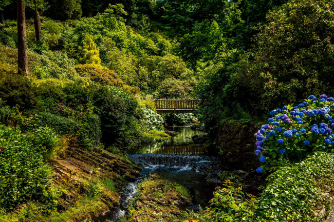Обои картинки фото bodnant gardens   великобритания, природа, парк, gardens, wales, великобритания, река, мостик, кусты, деревья