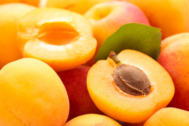 Обои картинки фото еда, персики,  сливы,  абрикосы, лето, макро, абрикос, фрукты