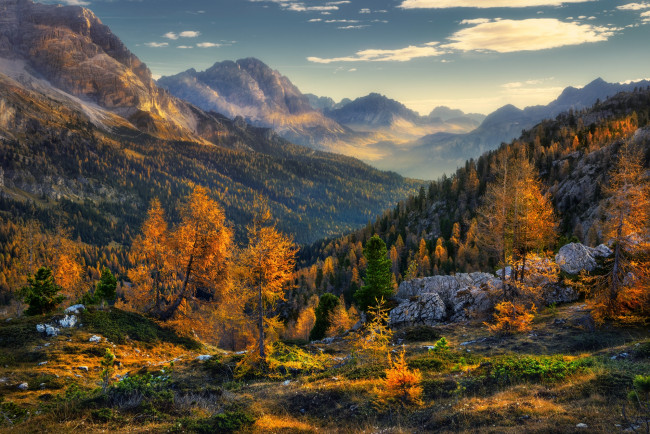 Обои картинки фото природа, горы, осень, деревья, лес, пейзаж