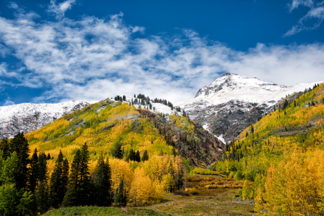 Обои картинки фото природа, горы, снег, лес, деревья, осень