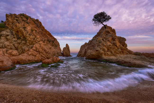 Обои картинки фото природа, побережье, испания, море, пляж, скалы, дерево