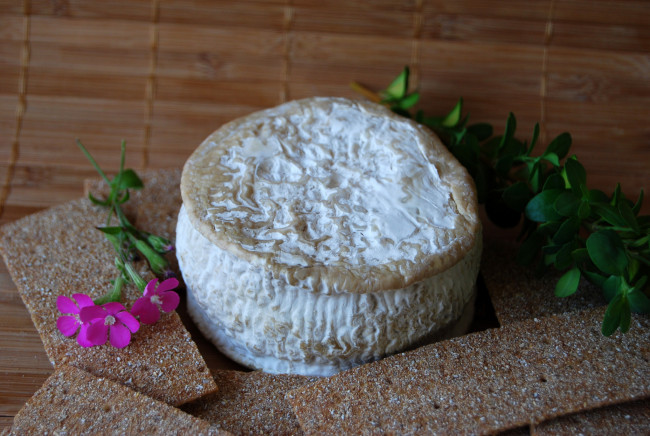 Обои картинки фото puit blanc, еда, сырные изделия, сыр