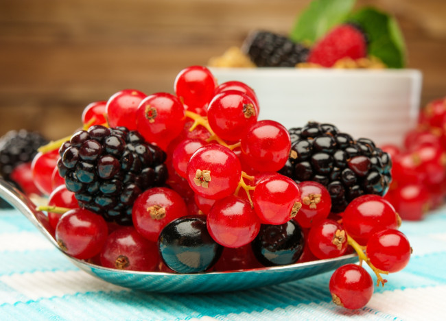 Обои картинки фото еда, фрукты,  ягоды, ягоды, fresh, berries, ежевика, смородина