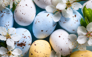Картинка праздничные пасха ветки крашенки яйца праздник easter вишня цветы
