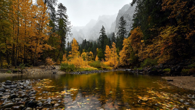Обои картинки фото природа, реки, озера, река, осень, камни