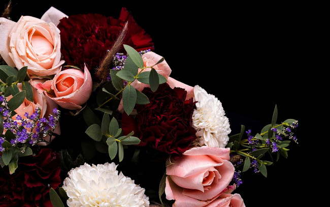 Обои картинки фото цветы, разные вместе, розы, хризантема, гвоздика