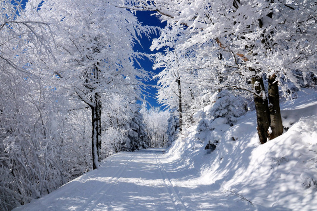 Обои картинки фото природа, зима, снег, сугробы