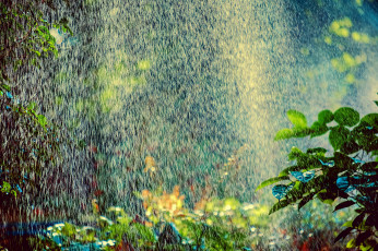 Картинка природа стихия дождь