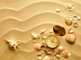 Картинка разное ракушки +кораллы +декоративные+и+spa-камни компас песок