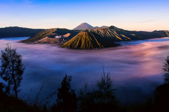 Картинка природа горы силуэты трава туман утро вулкан бромо tengger вулканический комплекс-кальдеры тенгер Ява остров индонезия
