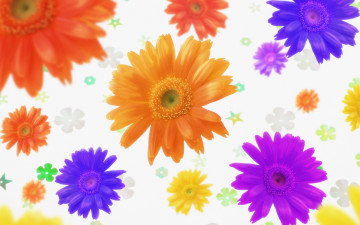 Картинка цветы герберы разноцветные звездочки