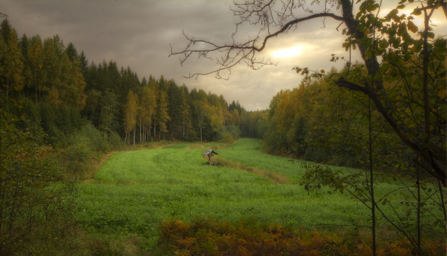 Обои картинки фото природа, лес, тучи, осень, просека