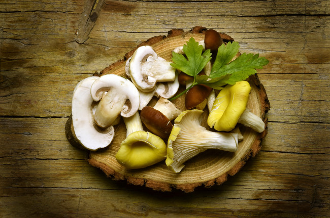 Обои картинки фото еда, грибы,  грибные блюда, шампиньон, рыжик, боровик