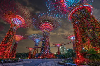 Картинка singapore города сингапур+ сингапур парк