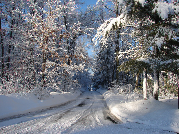 Обои картинки фото природа, дороги, сша, висконсин, дорога, зима, снег, мороз, лес