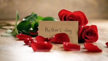 Картинка праздничные день+матери лепестки розы надпись