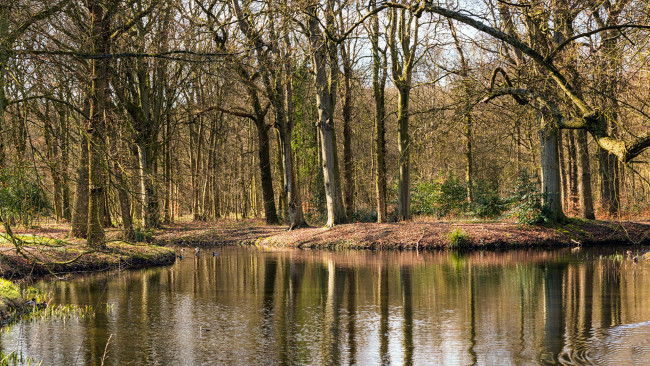 Обои картинки фото природа, реки, озера, весна, деревья, река