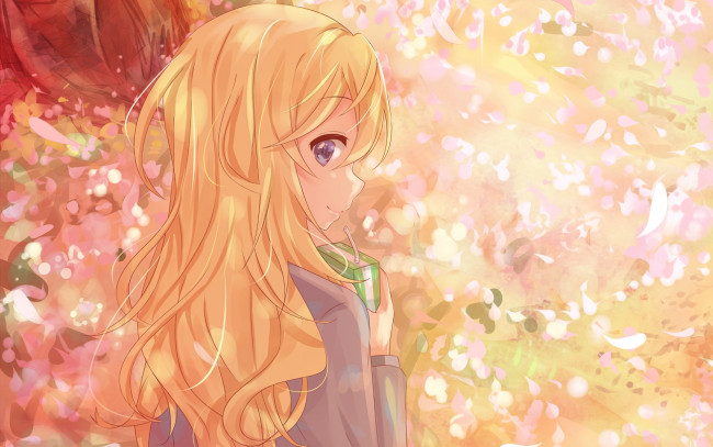 Обои картинки фото аниме, shigatsu wa kimi no uso, девушка, взгляд, фон