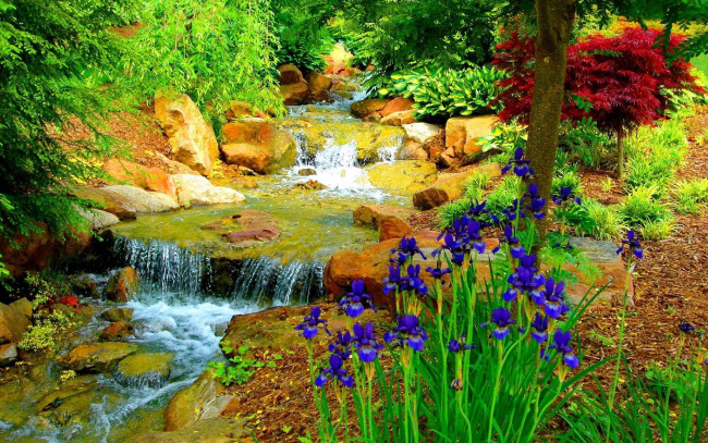 Обои картинки фото природа, парк, ирисы, вода, камни
