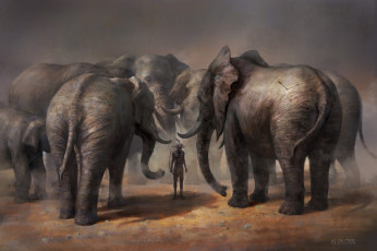 обоя рисованное, животные,  слоны, суд, who, did, стрела, абориген, охотник, слоны