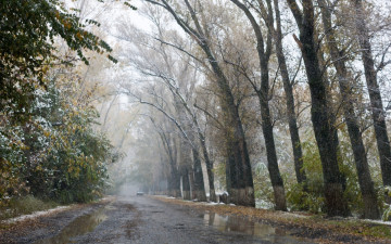 Картинка природа дороги осень слякоть дорога деревья снег