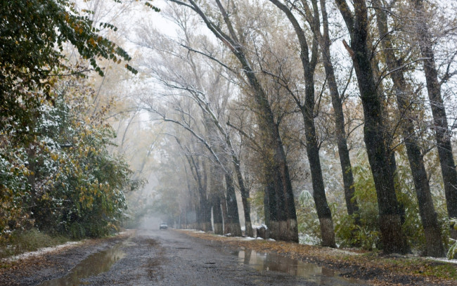 Обои картинки фото природа, дороги, осень, слякоть, дорога, деревья, снег