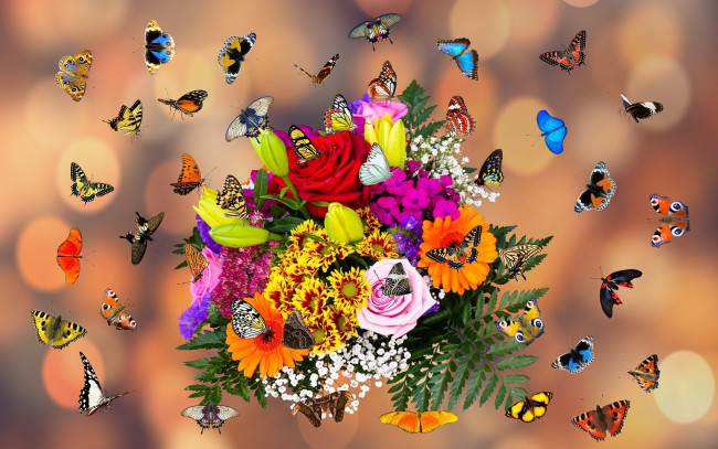 Обои картинки фото разное, компьютерный дизайн, бабочки, цветы