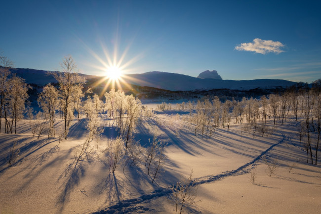 Обои картинки фото природа, зима, солнце, лучи, снег, горы, деревья, рассвет, небо, лес