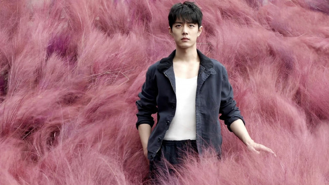 Обои картинки фото мужчины, xiao zhan, актер, пиджак, трава