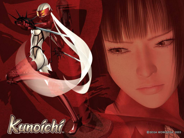 Обои картинки фото kunoichi, видео, игры