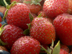 Картинка оксана ягодное еда клубника земляника сладкая вкусная спелая ягода