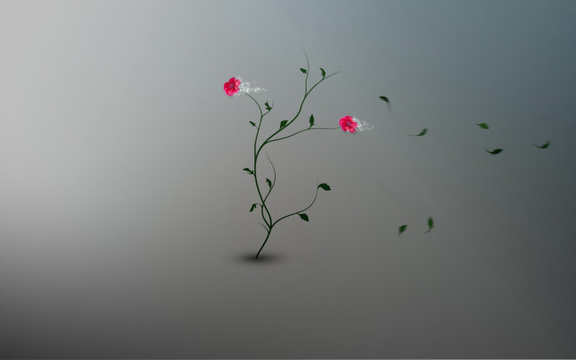Обои картинки фото 3д, графика, flowers, цветы, цветок, листья